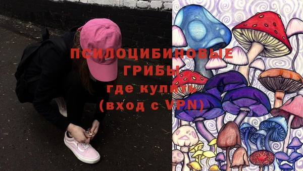 стафф Балабаново