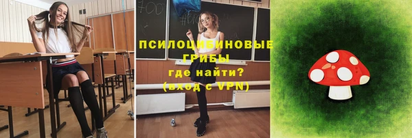 прущая мука Белокуриха