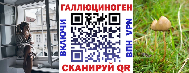 Купить закладки Приволжск Псилоцибиновые грибы прущие грибы