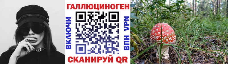 Псилоцибиновые грибы Cubensis Приволжск